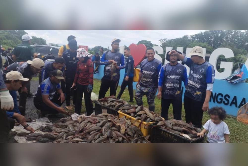 ‘Beribu Ikan Bandaraya Ditangkap Dalam Masa 3 Jam’