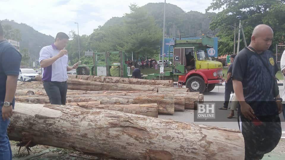 ‘Mangsa Kayu Balak Terjatuh Lori, Ditidurkan Akibat Cedera Parah’