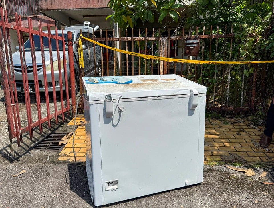 Suspek Bunuh Ibu, Simpan Mayat Dalam Peti Sejuk Beku Didakwa Esok