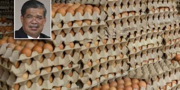 KPKM Jamin Bekalan Telur Ayam Mencukupi