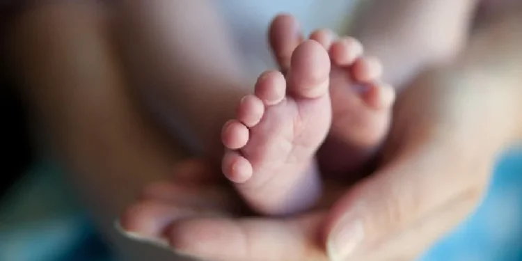 Bayi Lelaki Bertali Pusat Ditemukan Di Tepi Jalan