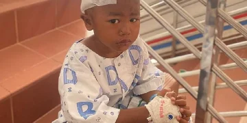 Kesihatan Kanak-kanak Lelaki Digigit Anjing Makin Baik