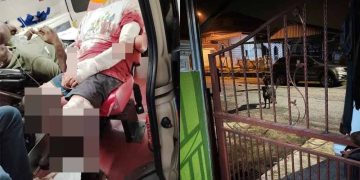 Empat Cedera Diserang Anjing Terlepas