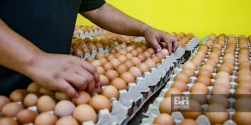 Subsidi Telur Ayam Dikurangkan 50 Peratus Mulai Esok, Tamat Sepenuhnya 1 Ogos