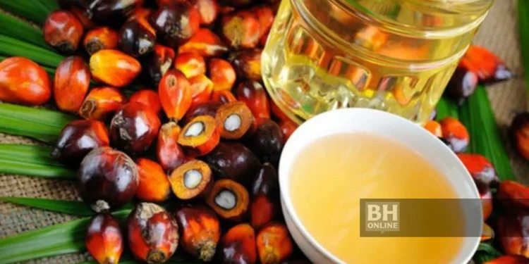 Malaysia Perkukuh Dagangan Di China, Sasar Peluang Baharu Pasaran Minyak Sawit