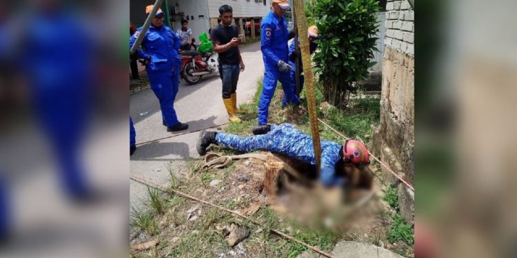 Lembu Korban Jatuh Perigi