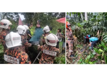 Warga Emas Maut Terkena Libasan Pokok Getah