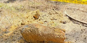Penduduk Terkejut Jumpa Bom Lama 227kg Di Kebun Sawit