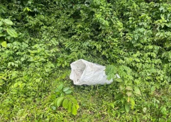 Ganja RM180,000 Ditinggalkan Di Sempadan Padang Besar