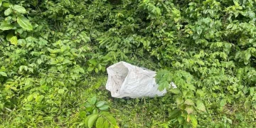 Ganja RM180,000 Ditinggalkan Di Sempadan Padang Besar