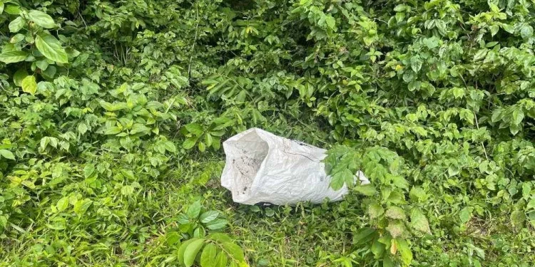 Ganja RM180,000 Ditinggalkan Di Sempadan Padang Besar