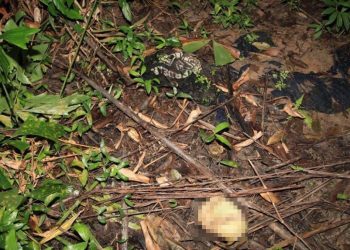 Rangka Manusia Sah Lelaki Hilang 14 Bulan Lalu