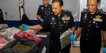 Polis Kelantan Tahan Suami Isteri Bersama 90kg Ganja