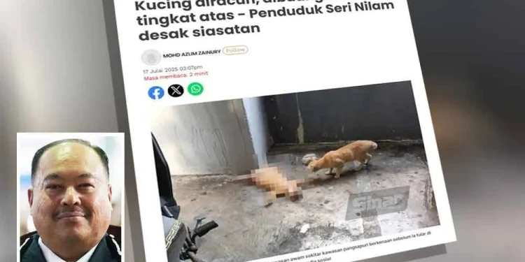 Kes Kucing Diracun, Dicampak Dari Pangsapuri Dirujuk Ke Jabatan Perkhidmatan Veterinar