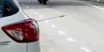 Polis Sahkan Terima Laporan Kereta Tertusuk Anak Panah