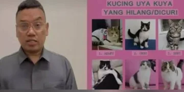 Rusuhan Indonesia: Reda Rumah Dijarah, Uya Kuya Minta Kucing Dikembalikan