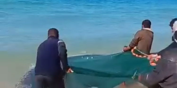 Rezeki Dari Laut Untuk Penduduk Gaza