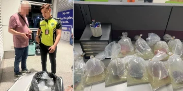 Lelaki Turkiye Ditahan Cuba Seludup 10 Ikan Discus Di KLIA