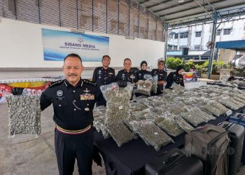 Suami Isteri Dalang Utama Sindiket Dadah Ditahan, Bunga Ganja RM8.6 Juta Dirampas