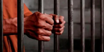 Pemalsuan Anugerah, Gelaran Istiadat: Polis Tahan Lelaki Tempatan