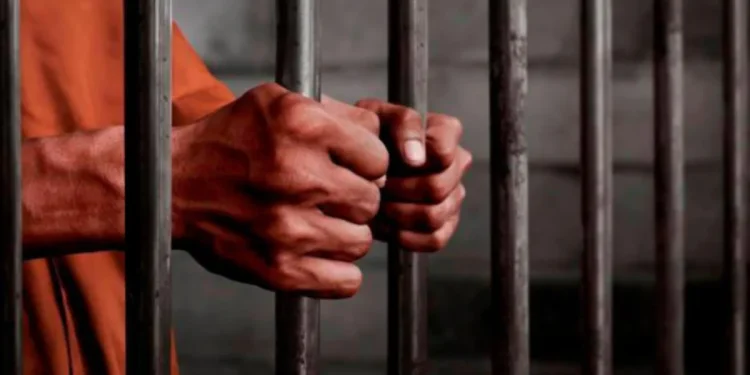 Pemalsuan Anugerah, Gelaran Istiadat: Polis Tahan Lelaki Tempatan