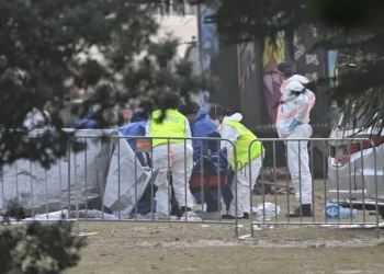 Bapa Dan Anak Dalang Serangan Berdarah Di Pantai Bondi – Polis Australia