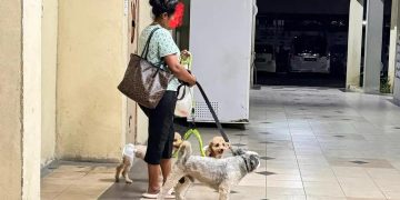 Tular Aduan Penduduk: Anjing Didakwa Cemari Kawasan Parkir Kediaman