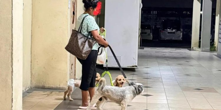 Tular Aduan Penduduk: Anjing Didakwa Cemari Kawasan Parkir Kediaman