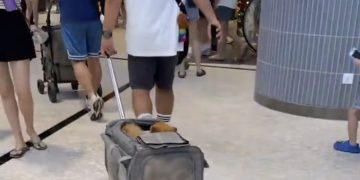 Sunway Square Mall Buat U-turn : Haiwan Peliharaan Lagi Tidak Dibenarkan Dalam Kawasan Premis Tertutup