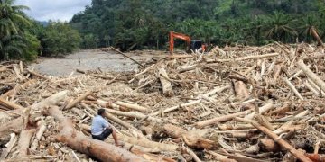 Ahli Politik Indonesia Sibuk Nasihat Mengenai Kayu Balak, Nasib Mangsa Banjir Dipersoal