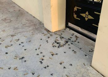 PERJANJIAN DAMAI KL RUNTUH – Konflik Thailand–Kemboja Semakin Memuncak