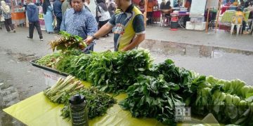 Harga Sayur Naik Hampir 3 Kali Ganda
