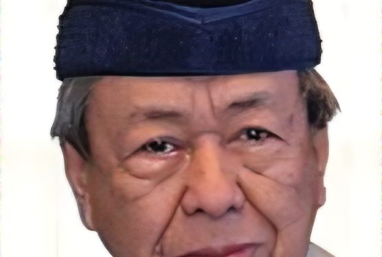 Sultan Selangor Dukacita, Tidak Setuju Projek Penternakan Babi Berskala Besar