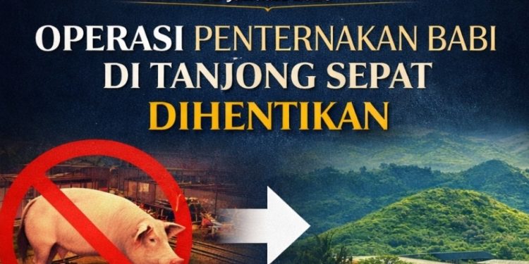 Operasi Penternakan Babi Di Tanjong Sepat Dihentikan, Dipindahkan Ke Bukit Tagar