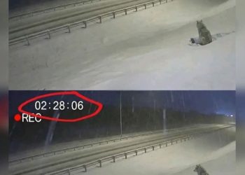 Suatu Malam Yang Sejuk….