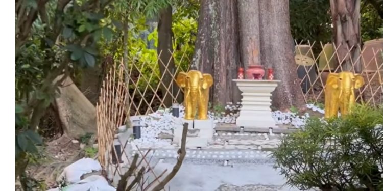 Struktur Misteri Di Bukit Tunku Undang Tanda Tanya Orang Ramai