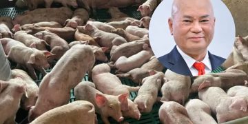 Kekalkan Ladang Babi Demi Keadilan Sosial – Ronnie Liu