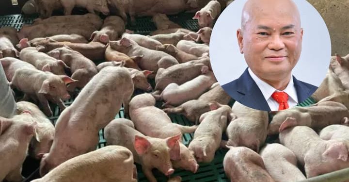 Kekalkan Ladang Babi Demi Keadilan Sosial – Ronnie Liu