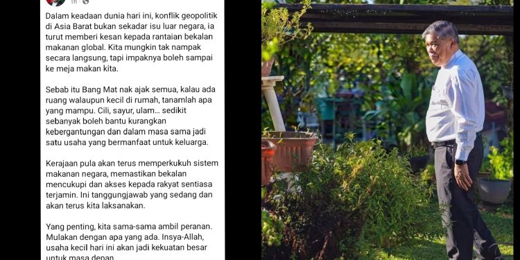 Rakyat Disaran Tanam Sayur Sendiri Hadapi Impak Global