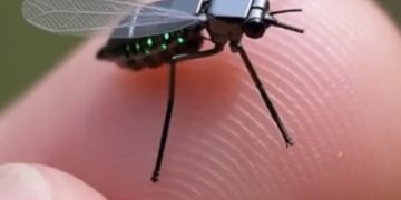 China Masuki Era ‘Drone Nyamuk’? Teknologi Intipan Mikro Cetus Perhatian Dunia