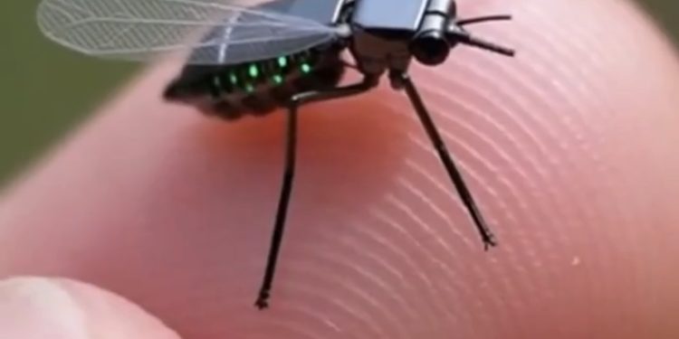 China Masuki Era ‘Drone Nyamuk’? Teknologi Intipan Mikro Cetus Perhatian Dunia