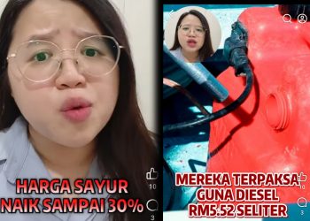 Perlu Ada Mekanisme Berkesan, Bukan Biar Rakyat Tanggung Sendiri – Beliawanis MCA