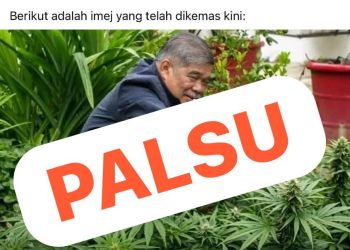 Pejabat Menteri Nafi Mohamad Sabu Galak Penjawat Awam Tanam Ganja Di Rumah