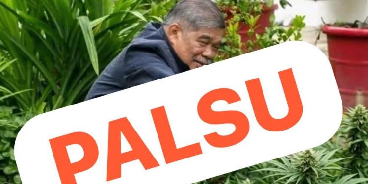 Pejabat Menteri Nafi Mohamad Sabu Galak Penjawat Awam Tanam Ganja Di Rumah