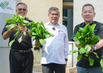 Sekurang-kurangnya Rakyat Mesti Ada Nasi, Ayam, Telur, Sayuran