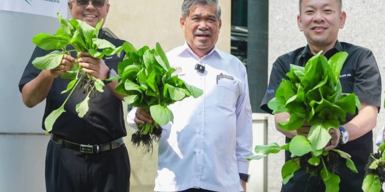 Sekurang-kurangnya Rakyat Mesti Ada Nasi, Ayam, Telur, Sayuran