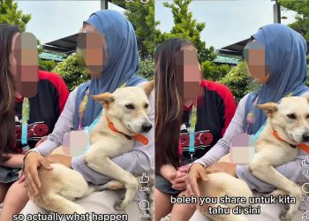 Aksi Wanita Melayu Peluk, Belai Anjing Ketika Sesi Temu Bual Cetus Polemik