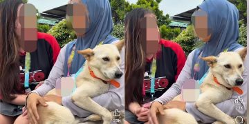 Aksi Wanita Melayu Peluk, Belai Anjing Ketika Sesi Temu Bual Cetus Polemik