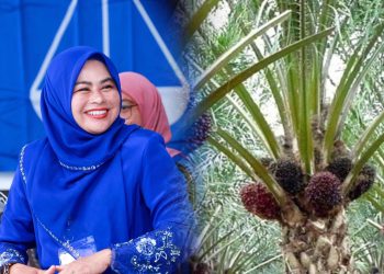 Insentif RM3.5 Juta Sokong Pensijilan MSPO Peniaga Sawit – Noraini