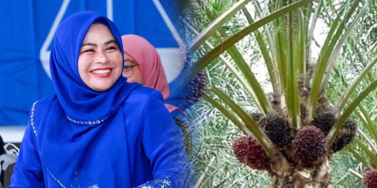 Insentif RM3.5 Juta Sokong Pensijilan MSPO Peniaga Sawit – Noraini